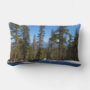 Wanderung hinab von Mitchell Peak im Sequoia Lendenkissen