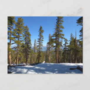 Wanderung hinab von Mitchell Peak im Sequoia Postkarte