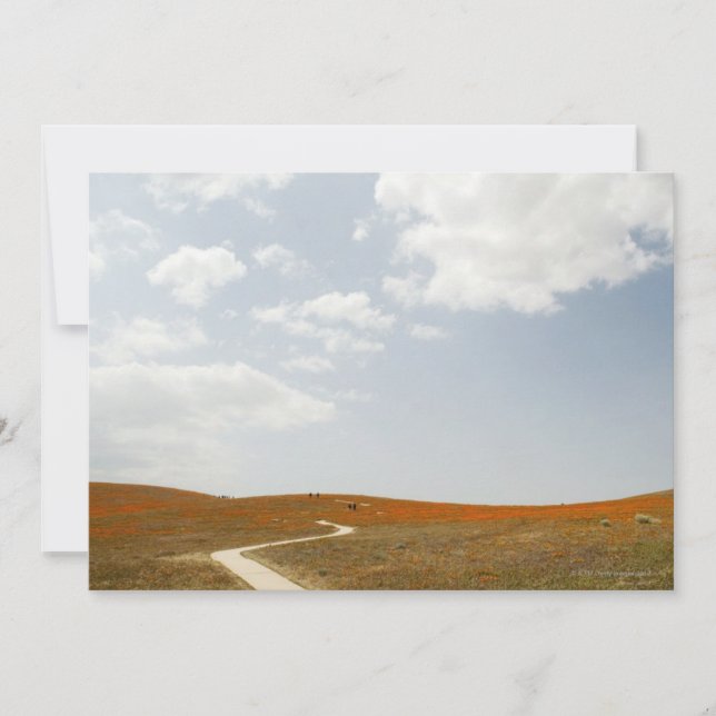 Wanderweg (Vorderseite)