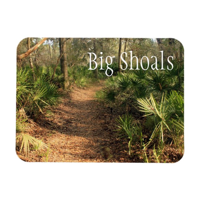 Wanderweg, Big Shoals Staat Park, Florida Magnet (Horizontal)