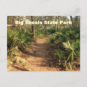 Wanderweg, Big Shoals Staat Park, Florida Postkarte