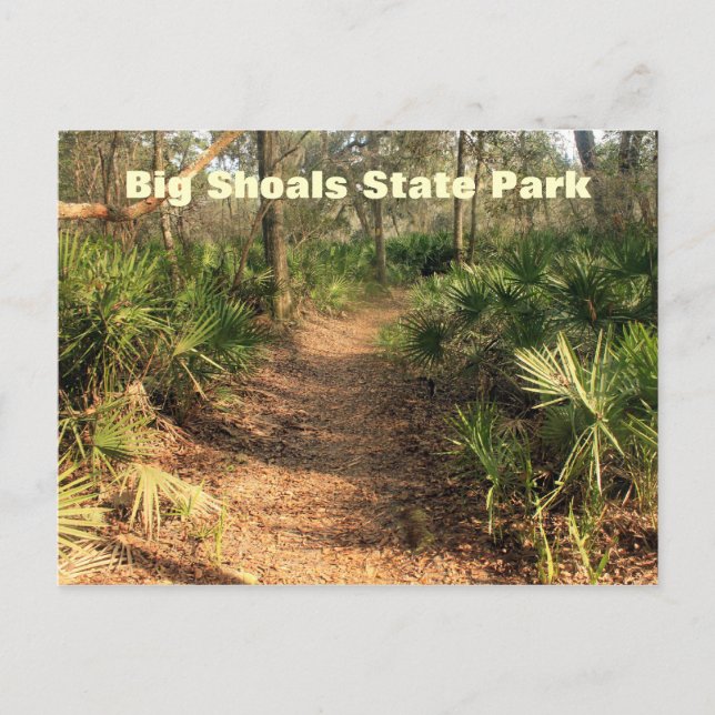 Wanderweg, Big Shoals Staat Park, Florida Postkarte (Vorderseite)