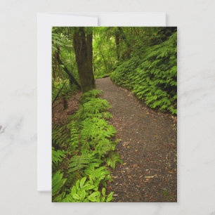 Wanderweg durch den Wald Dankeskarte
