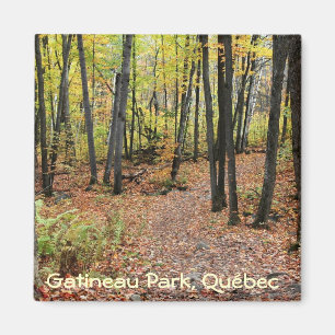 Wanderweg im Herbst, Gatineau Park, Quebec Magnet