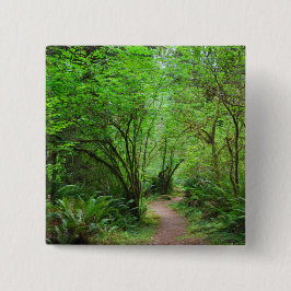 Wanderweg im Redwood-Wald Button