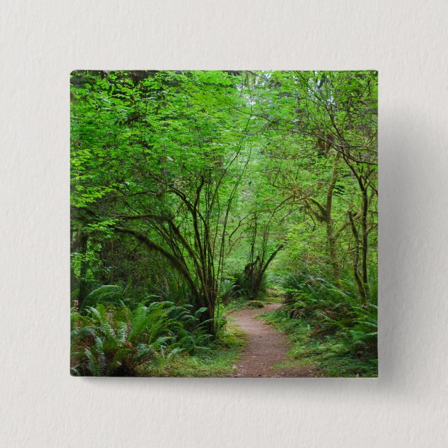 Wanderweg im Redwood-Wald Button (Vorderseite)