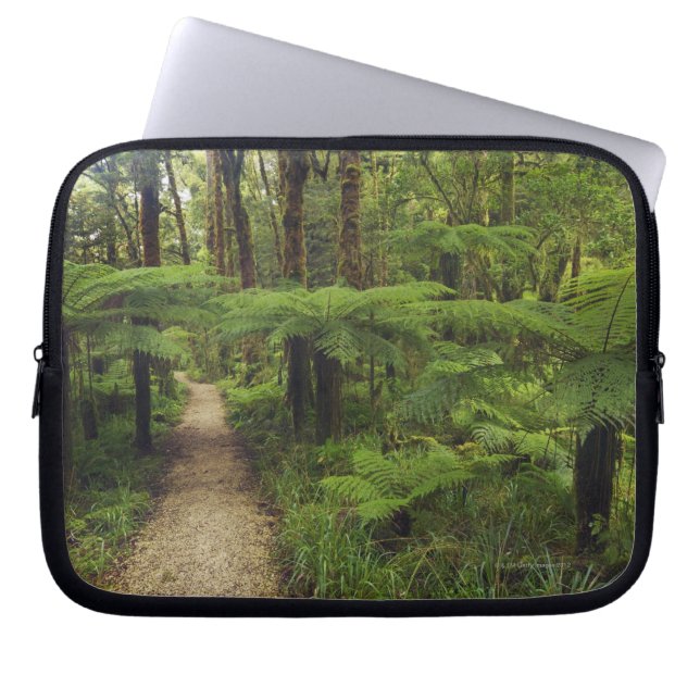 Wanderweg im Regenwald mit Farnbäumen - Laptopschutzhülle (Vorderseite)