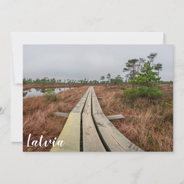 Wanderweg im Sumpf (Vorderseite)