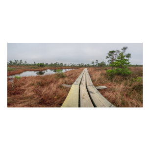 Wanderweg im Sumpf Fotodruck