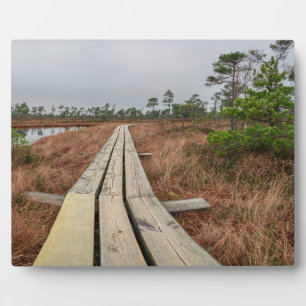 Wanderweg im Sumpf Fotoplatte
