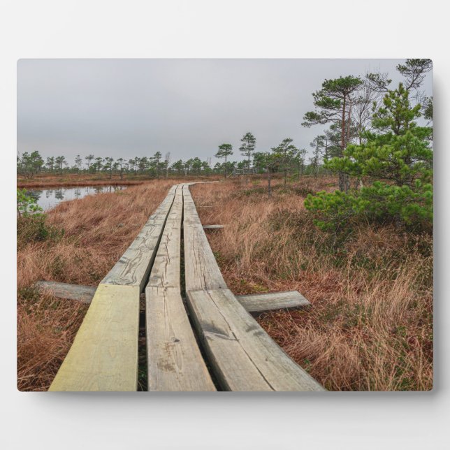 Wanderweg im Sumpf Fotoplatte (Vorderseite)