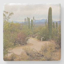 Wanderweg in der Wüste von Arizona, q Untersetzer