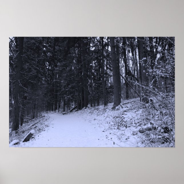 Wanderweg mit Schnee bedeckt 2 Poster (Vorne)