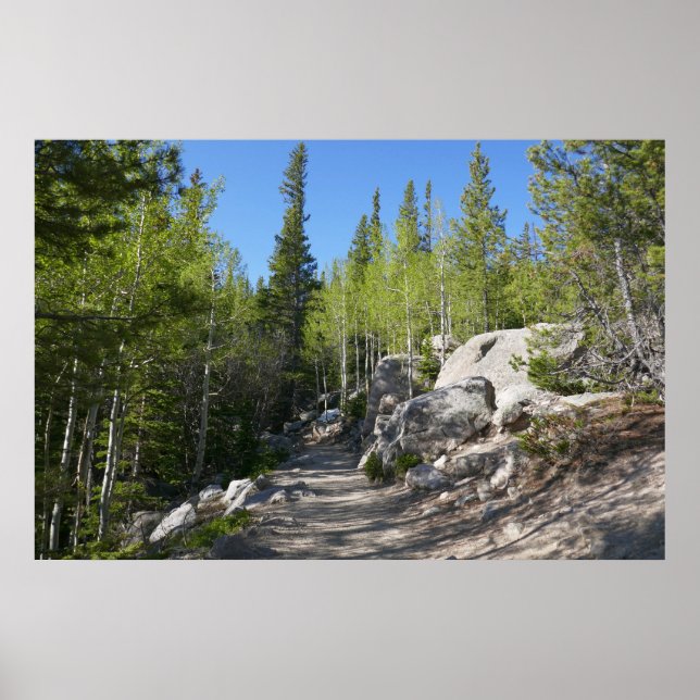 Wanderweg nach Alberta Falls Poster (Vorne)