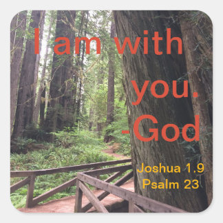 Wanderweg Olympischer Nationalpark Quadratischer Aufkleber