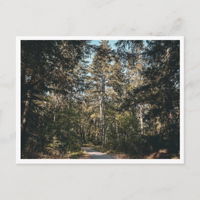 Wanderweg Postkarte (Vorderseite)