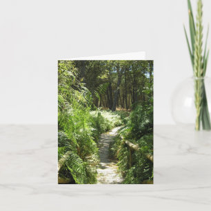 Wanderweg Spanien fotografische Karte Alltag