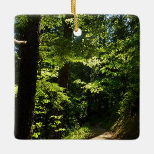 Wanderweg von Silver Falls Keramikornament