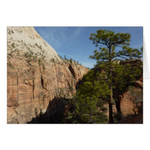 Wanderweg zu Angels Landing im Zion National Park