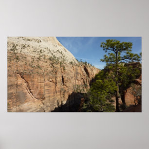 Wanderweg zu Angels Landing im Zion National Park Poster