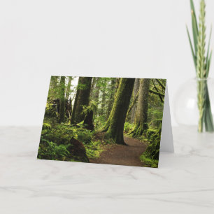 Wanderweg zwischen Riesen Karte