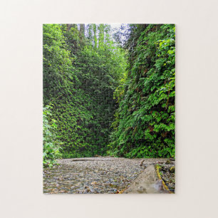 Wanderwege Bach Wind in grüne Wände des Fern Canyo Puzzle