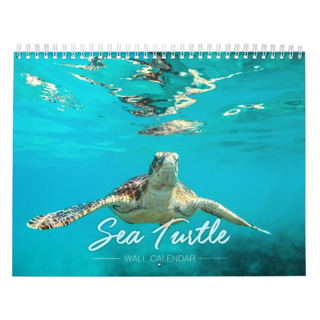 Wandkalender der Meeresschildkröte-2019 (Titelbild)