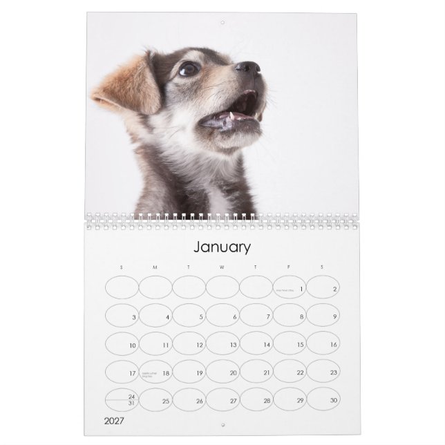 Wandkalender der Schutz-Welpen-2012 (Jan 2027)