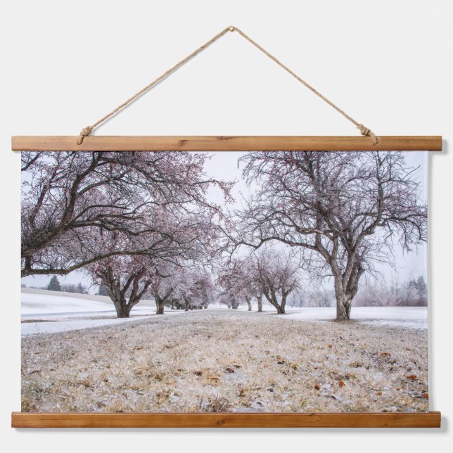 Wandteppiche (Vorne)