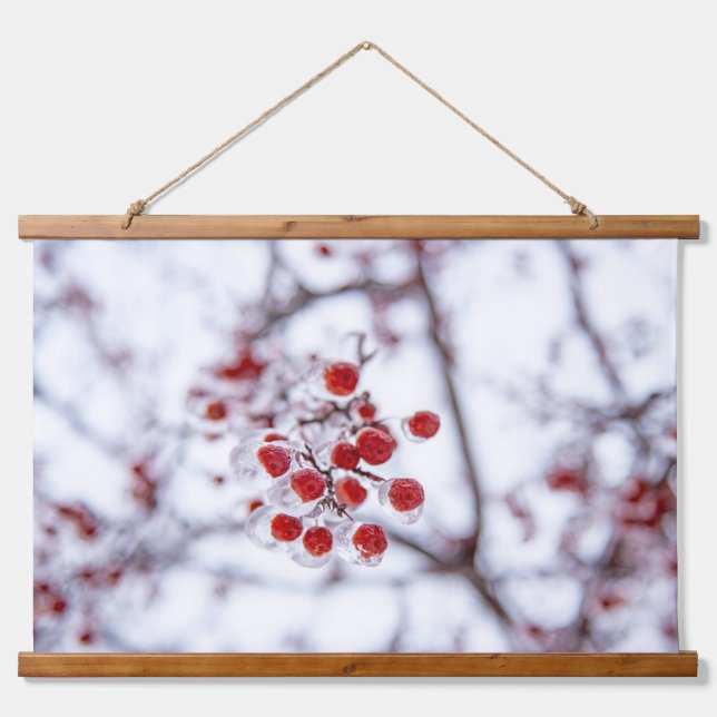 Wandteppiche (Vorne)