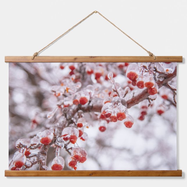 Wandteppiche (Vorne)