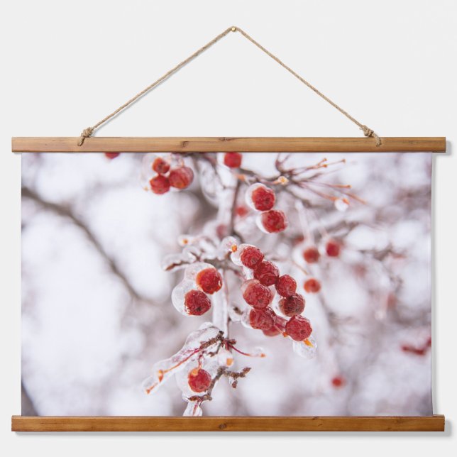 Wandteppiche (Vorne)