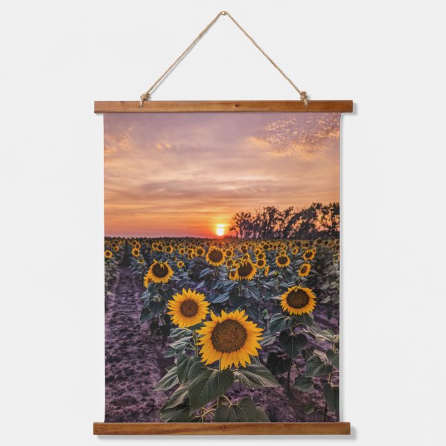 Wandteppiche (Vorderseite)