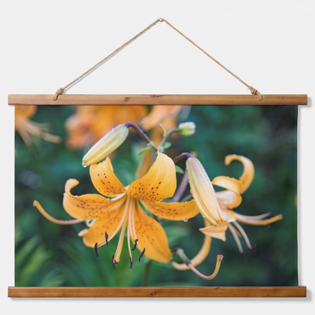 Wandteppiche (Vorne)