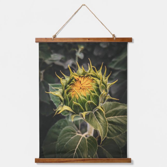 Wandteppiche (Vorderseite)