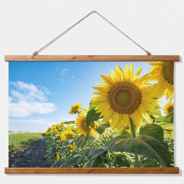 Wandteppiche (Vorne)