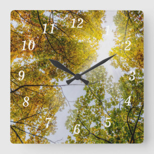 Wanduhr Sonnenlicht durch herbstliche Zucker-Ahorn