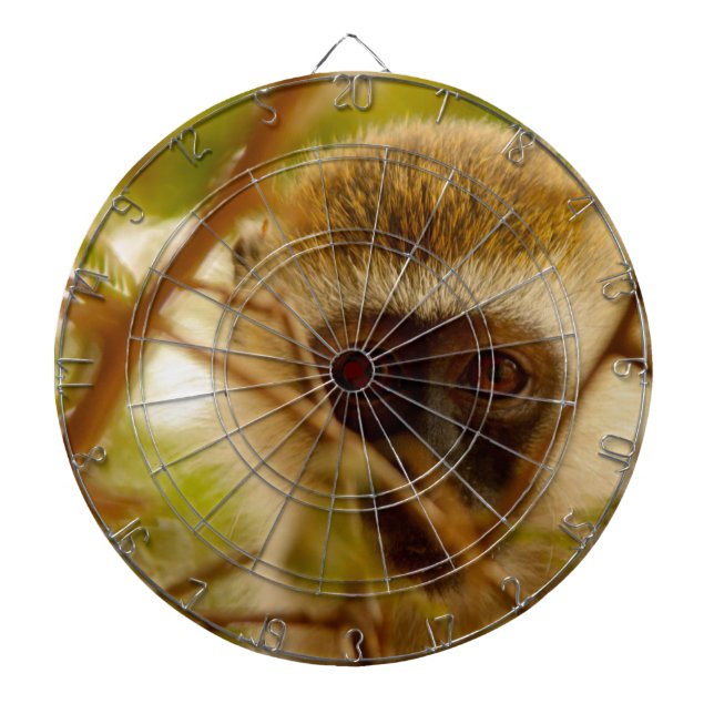 Wangenaffen Dartscheibe (vorne)