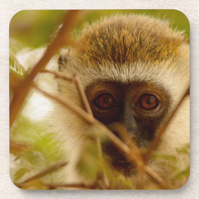 Wangenaffen Untersetzer (Vorderseite)
