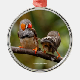 Wangenparadies Zebra Finch Songbirds Ornament Aus Metall