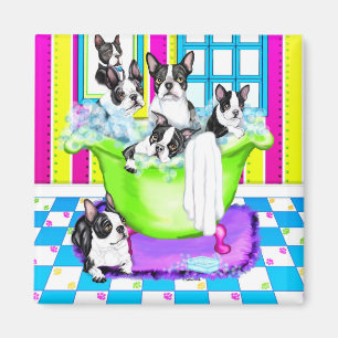 Wanne Bostons Terrier voll Magnet