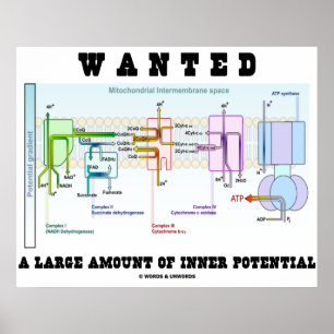 Wanted A Large Amount Of Inner Potential Poster