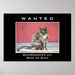 Wanted Poster