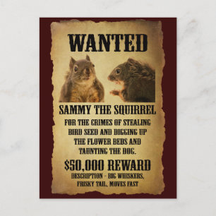 Wanted Poster with Squirrel Postkarte