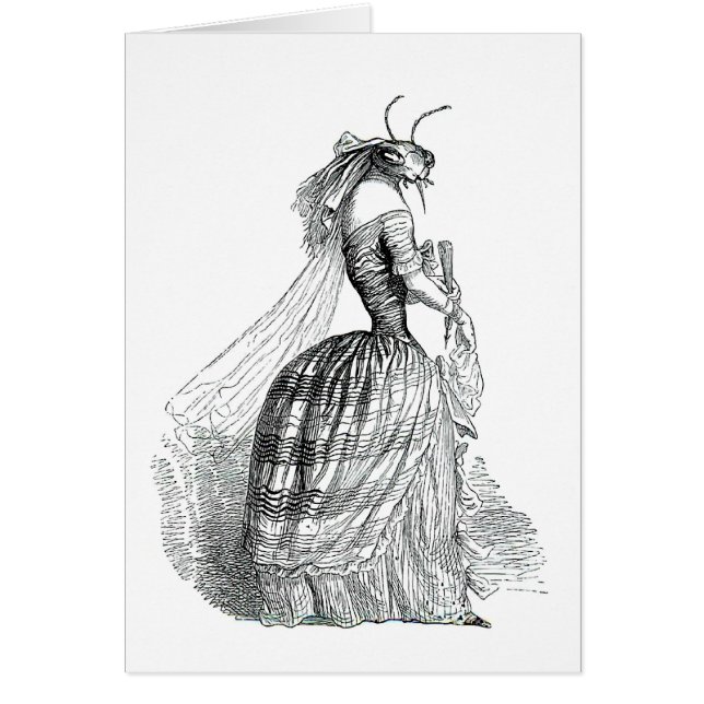 Wanzen-hastige Geschäftigkeit (Vorne)