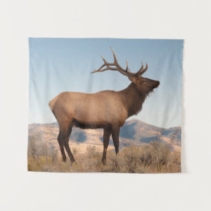 Wapiti-Bulle bei Mammoth Wyoming Wandteppich