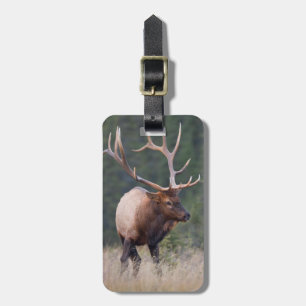 Wapiti der Rocky Mountains Gepäckanhänger