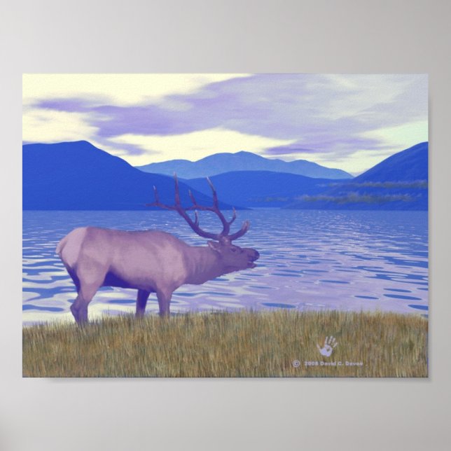 Wapiti (Elk) am See Poster (Vorne)