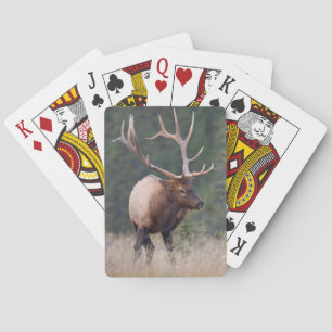 Wapiti-Hirsch Spielkarten