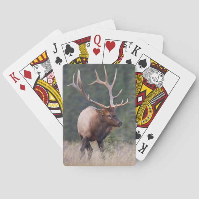 Wapiti-Hirsch Spielkarten (Rückseite)